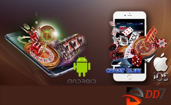 Khái quát thông tin app cá cược bóng đá DD7