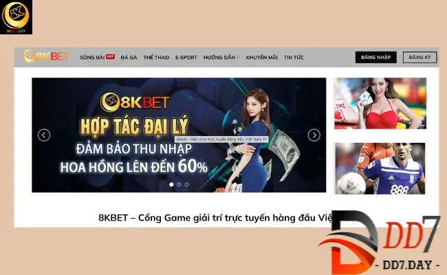 8kbet - Nhà cái cá uy tín hàng đầu Việt Nam